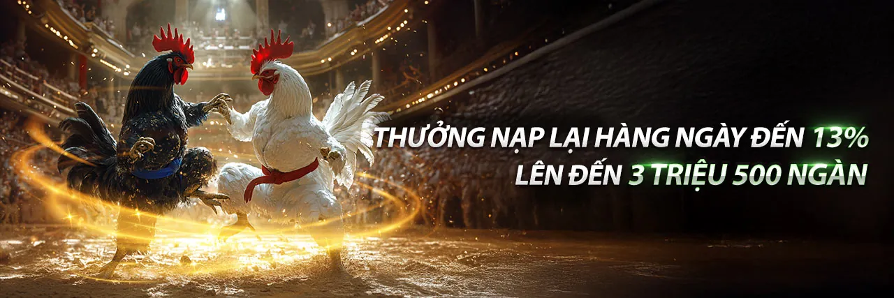 Tin tức và Khuyến mãi 95win